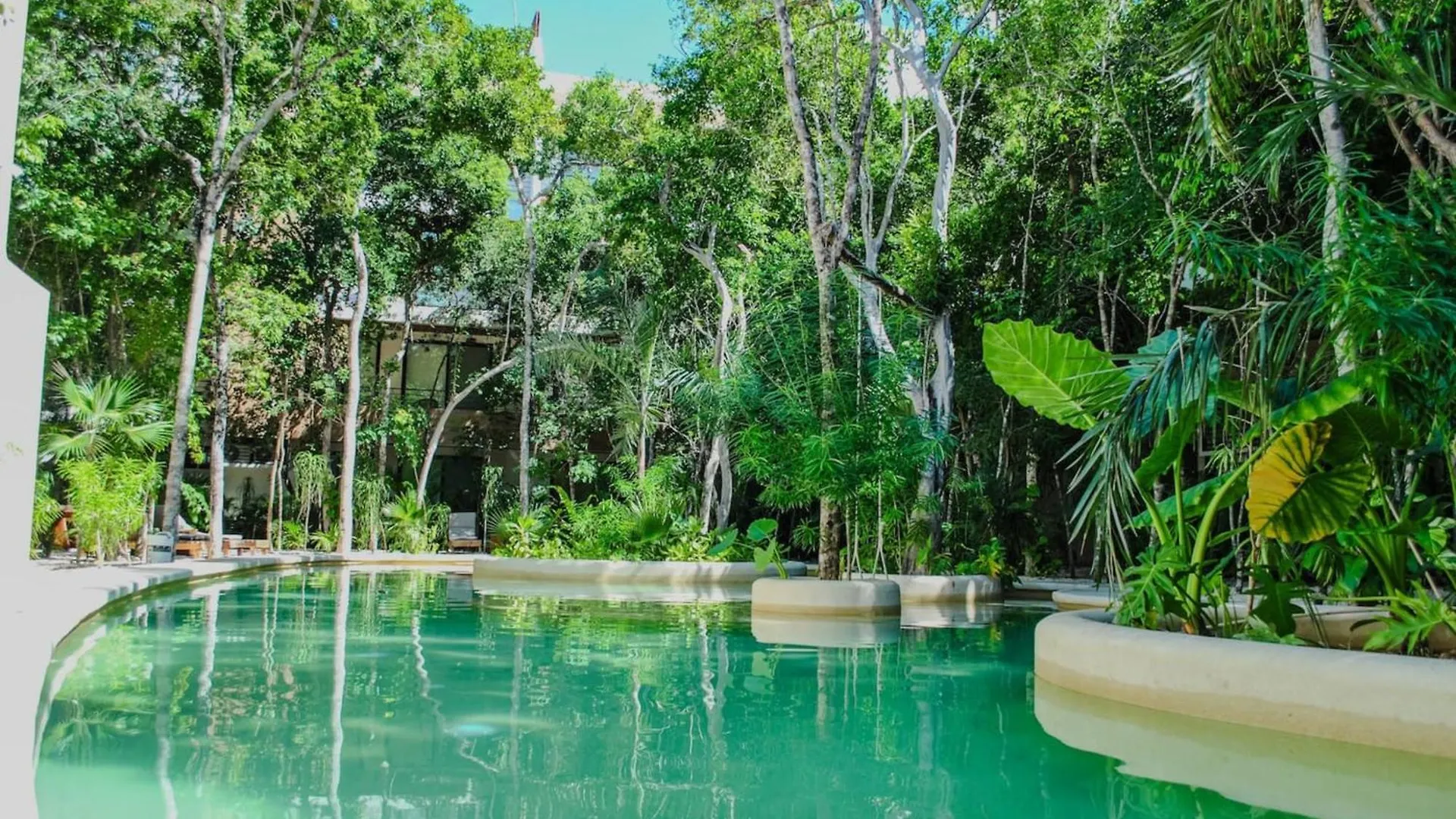 Esencia Botanic Piscina Privada Apartment Tulum Mexico